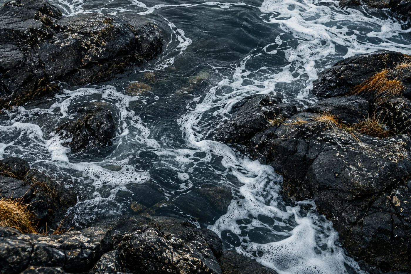 Sea foam moving between dark tidal rocks